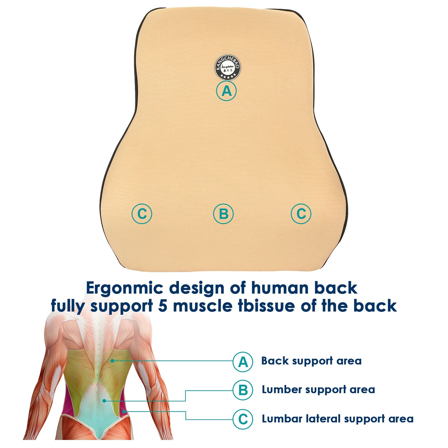 Oshotto Air Fabric Lumbar Support for Office Chair | Back Pillow for Car | Memory Foam Orthopedic Cushion - Provides Low Back Support (Beige)