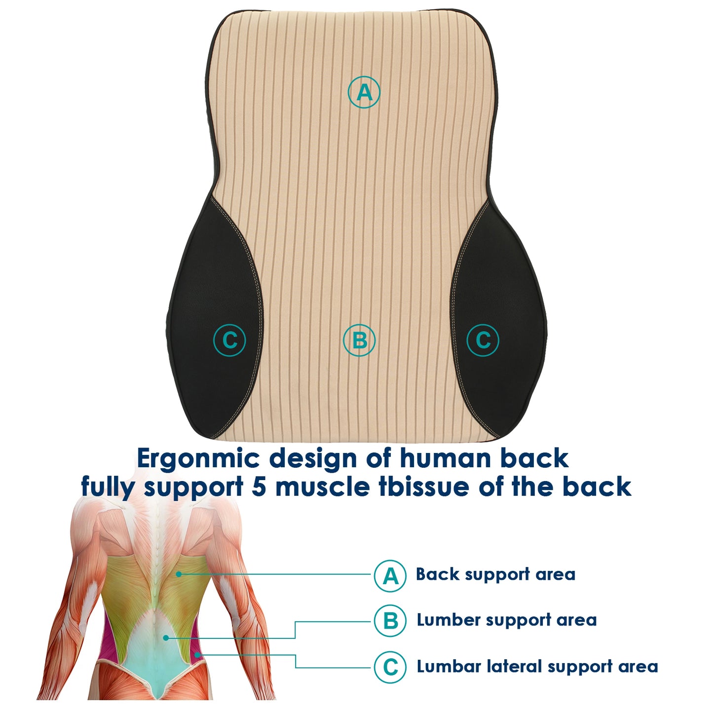 Oshotto Leatherite Finish Lumbar Support for Office Chair | Back Pillow for Car | Memory Foam Orthopedic Cushion - Provides Low Back Support (Beige, Black)
