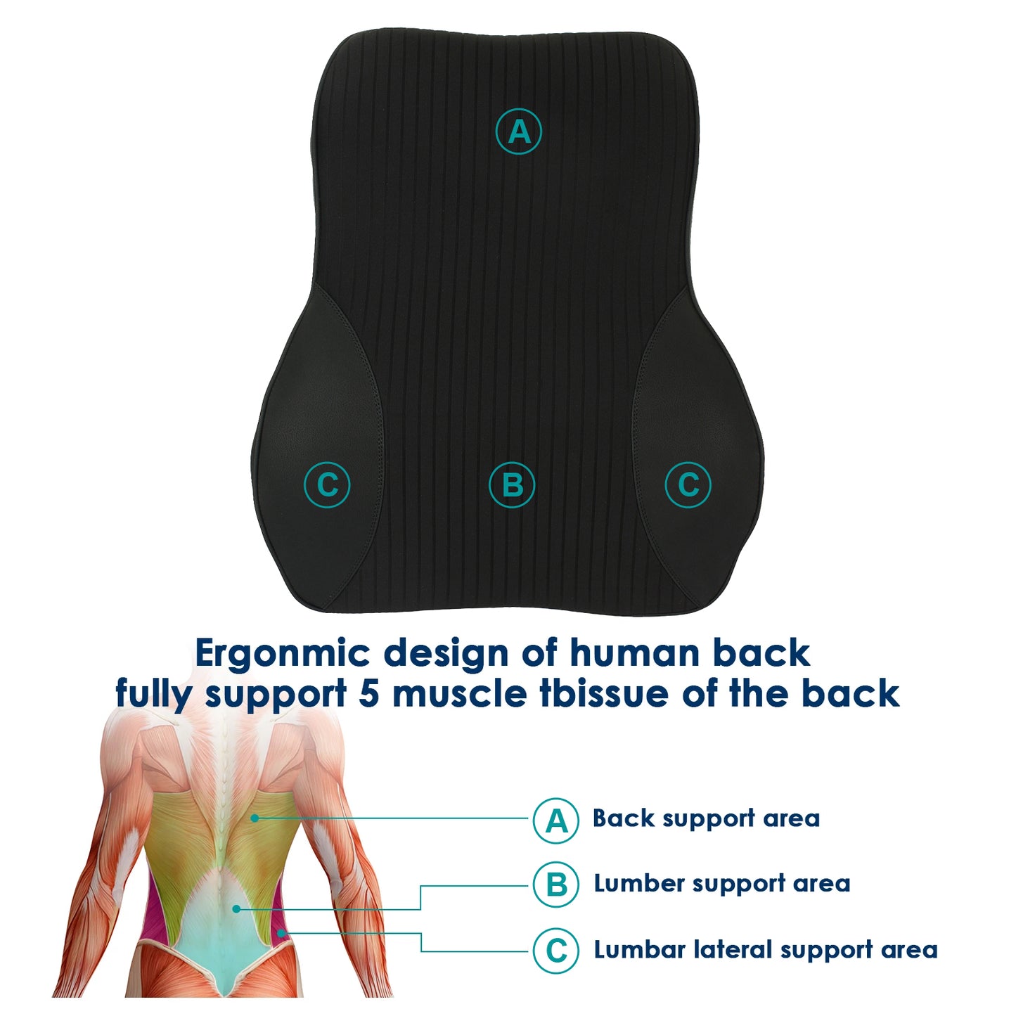 Oshotto Leatherite Finish Lumbar Support for Office Chair | Back Pillow for Car | Memory Foam Orthopedic Cushion - Provides Low Back Support (Black)